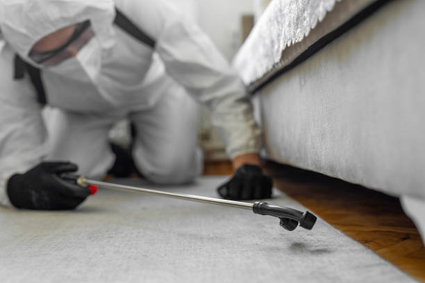 Professional Bed Bug Control technician working in Webster County County, KY